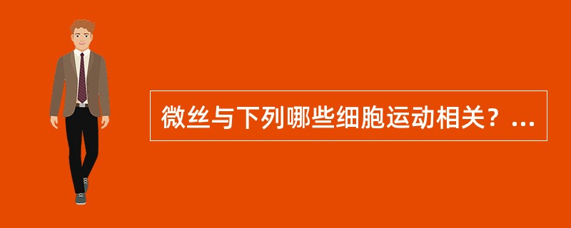 微丝与下列哪些细胞运动相关？（）