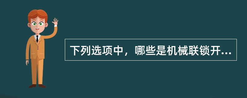 下列选项中，哪些是机械联锁开关的组成部分（）。