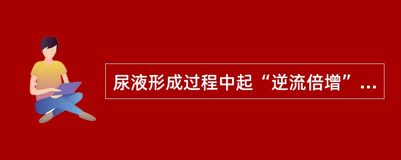 尿液形成过程中起“逆流倍增”作用的是A、肾小球B、肾小囊C、髓袢D、集合管E、远