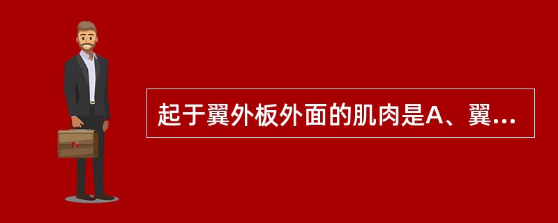 起于翼外板外面的肌肉是A、翼内肌B、咬肌C、翼外肌D、颞肌E、二腹肌后腹