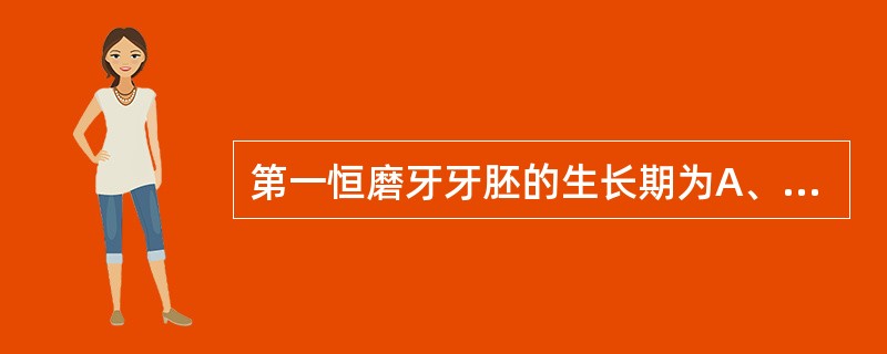 第一恒磨牙牙胚的生长期为A、胎龄6周B、胎龄8周C、胎龄4个月D、胎龄6个月E、