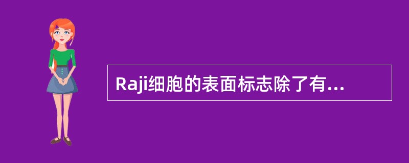 Raji细胞的表面标志除了有C3b受体，没有Smlg外，其他是A、有C1q受体，