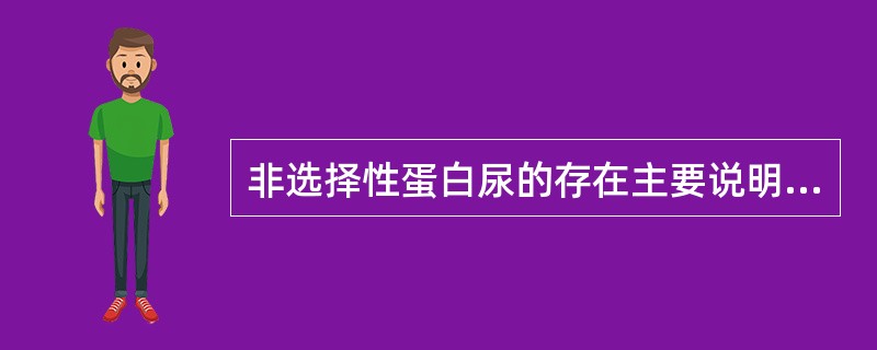 非选择性蛋白尿的存在主要说明A、肾小球滤过膜电荷数改变B、肾小管病变C、肾小球与