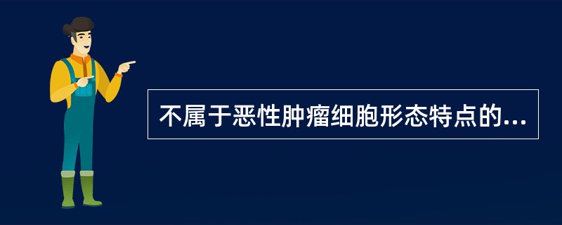 不属于恶性肿瘤细胞形态特点的是A、单核瘤巨细胞，大核仁B、核染色质粗块状，出现核