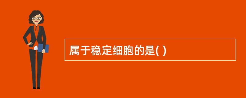 属于稳定细胞的是( )