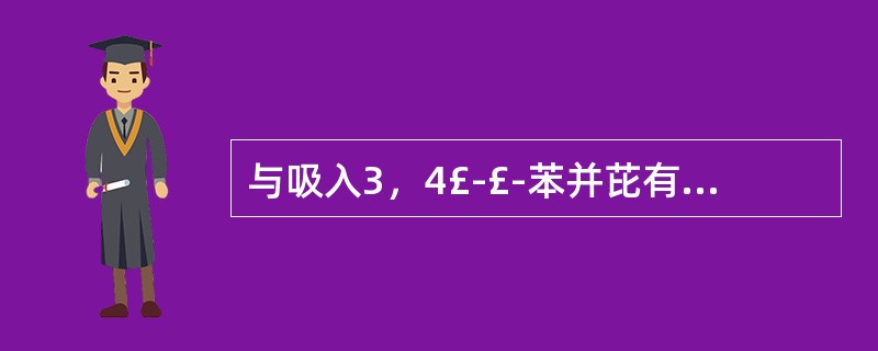 与吸入3,4££苯并芘有关的肿瘤是( ) 与吸入3,4££苯并芘有关的肿瘤是( )