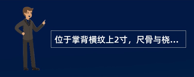 位于掌背横纹上2寸，尺骨与桡骨正中间的腧穴是( )A、四渎B、阳池C、内关D、外