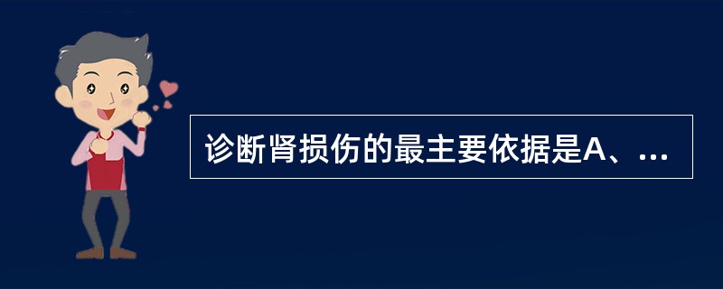 诊断肾损伤的最主要依据是A、肾区外伤后即出现血尿B、尿路平片见肾轮廓增大C、外伤