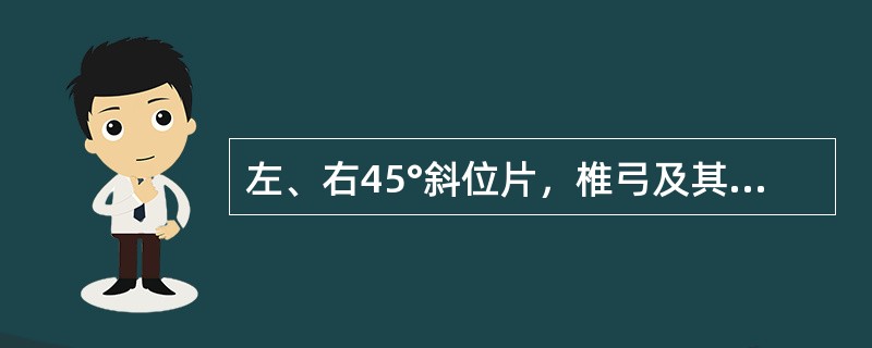 左、右45°斜位片，椎弓及其附件投影似"狗"形，峡部裂时似狗颈戴项链，椎弓根断面