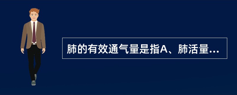 肺的有效通气量是指A、肺活量B、时间肺活量C、肺通气量D、肺泡通气量E、潮气量