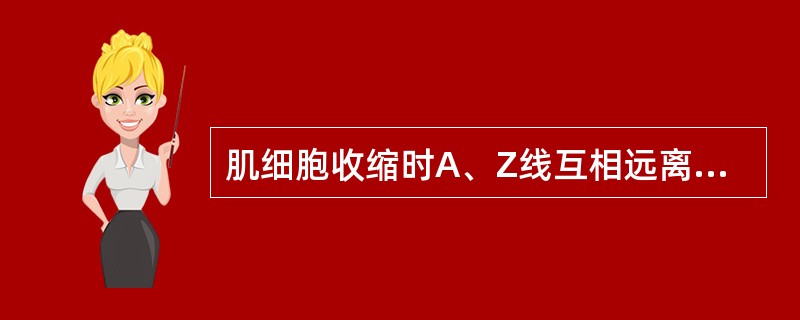 肌细胞收缩时A、Z线互相远离B、肌小节变长C、明带变短甚至消失D、暗带长度变短E
