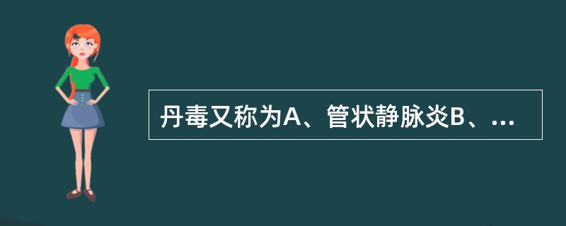 丹毒又称为A、管状静脉炎B、网状静脉炎C、毛细血管炎D、网状淋巴管炎E、管状淋巴