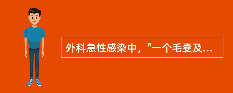 外科急性感染中，"一个毛囊及其所属皮脂腺的急性化脓性感染，常扩展到皮下组织"属于