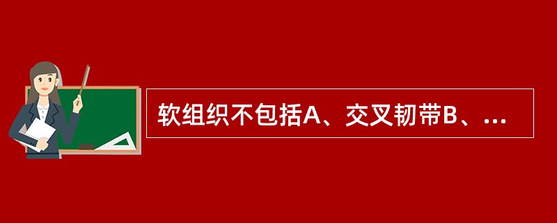 软组织不包括A、交叉韧带B、半月板C、腱鞘D、侧副韧带E、关节囊