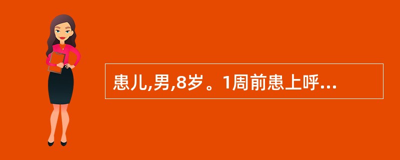 患儿,男,8岁。1周前患上呼吸道感染,6小时前出现全腹疼痛。查体:体温38.2