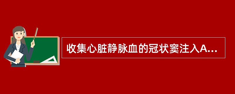 收集心脏静脉血的冠状窦注入A、右心房B、左心房C、右心室D、腔静脉E、左心室 -