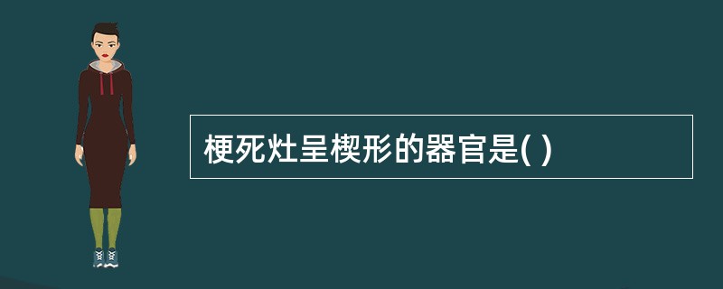 梗死灶呈楔形的器官是( )