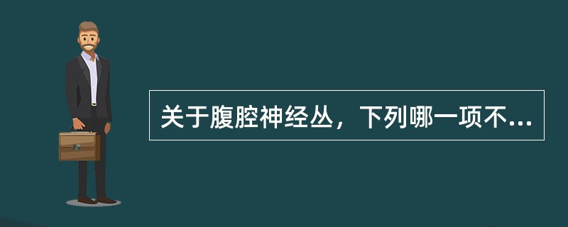 关于腹腔神经丛，下列哪一项不正确A、位于腹主动脉上段的前方B、位于两肾上腺之间C