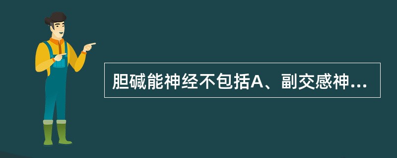 胆碱能神经不包括A、副交感神经的节前、节后纤维B、交感神经的节前纤维C、大部分交