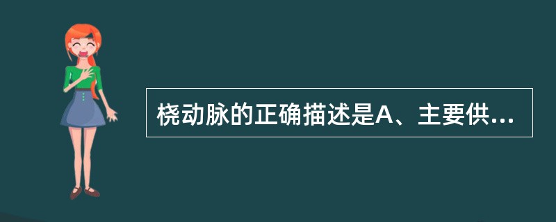 桡动脉的正确描述是A、主要供血给掌浅弓B、是肱深动脉的延续C、在腕部掌侧表面仅有