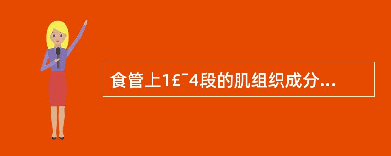 食管上1£¯4段的肌组织成分A、骨骼肌B、骨骼肌和平滑肌C、平滑肌D、内环肌E、