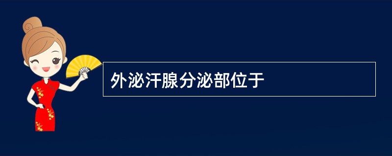 外泌汗腺分泌部位于