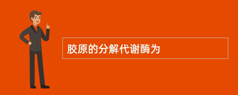 胶原的分解代谢酶为