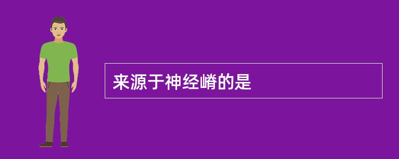 来源于神经嵴的是