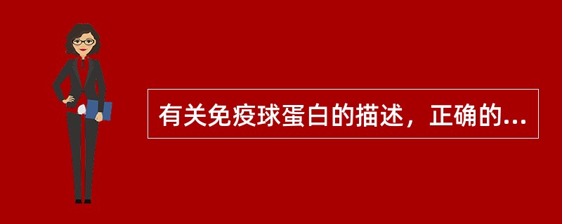 有关免疫球蛋白的描述，正确的是A、免疫球蛋白是由重链、轻链组成的不对称分子B、重