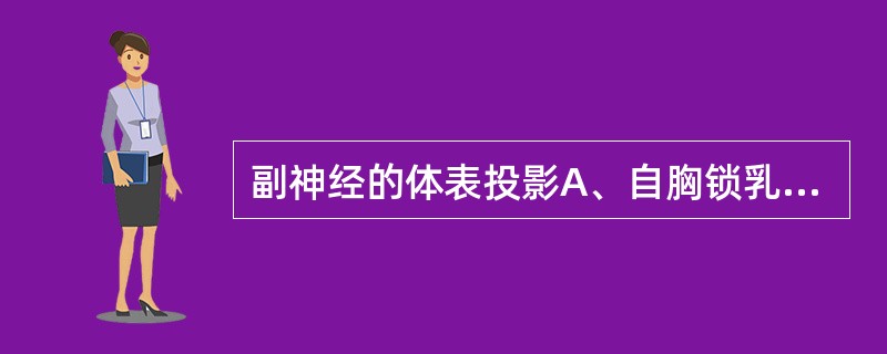 副神经的体表投影A、自胸锁乳突肌前缘上、中1／3交点，至斜方肌前缘上、中1／3交