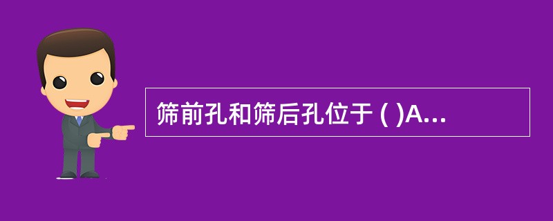 筛前孔和筛后孔位于 ( )A、额骨内B、筛骨内C、蝶骨内D、泪骨内E、鼻骨内 -