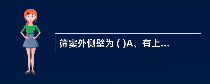 筛窦外侧壁为 ( )A、有上鼻甲和中鼻甲附着的鼻腔粘膜外侧壁上部B、由泪管和纸样