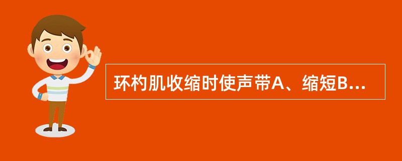 环杓肌收缩时使声带A、缩短B、内收C、松弛D、张力增强E、外展