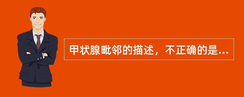 甲状腺毗邻的描述，不正确的是A、峡的后方平第2、3、4气管软骨环B、侧叶后内侧为