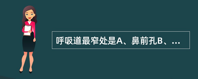 呼吸道最窄处是A、鼻前孔B、鼻后孔C、喉入口D、声门裂E、声门下区