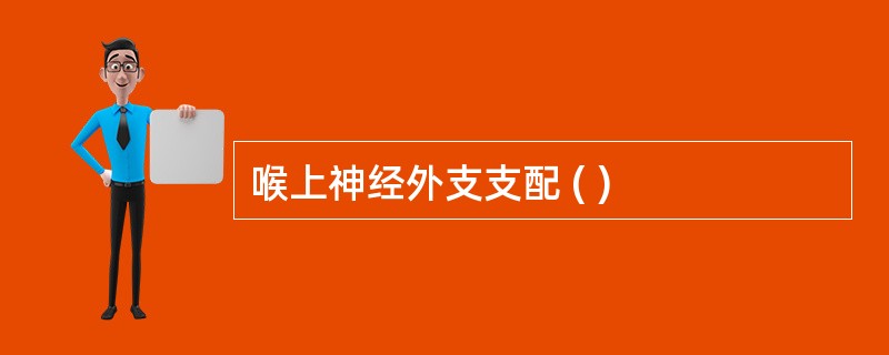 喉上神经外支支配 ( )