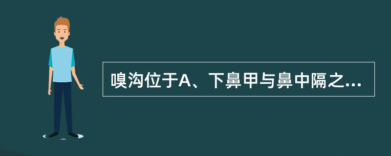 嗅沟位于A、下鼻甲与鼻中隔之间B、各鼻甲与鼻中隔之间C、上、中鼻甲与鼻中隔之间D
