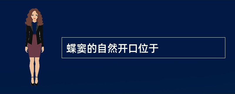 蝶窦的自然开口位于