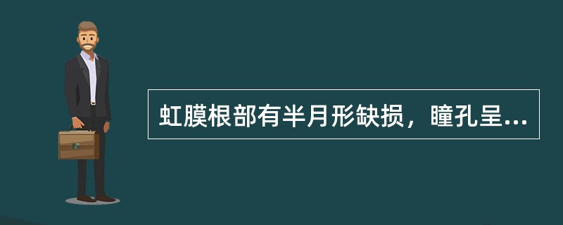 虹膜根部有半月形缺损，瞳孔呈"D"形