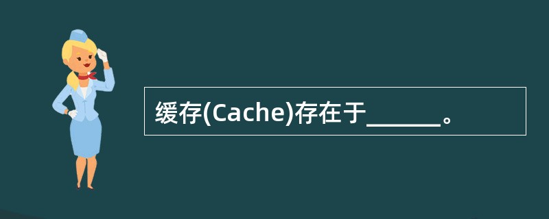 缓存(Cache)存在于______。