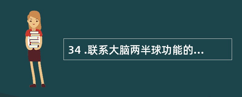 34 .联系大脑两半球功能的神经纤维称为A .投射纤维B .联络纤维C .连合纤