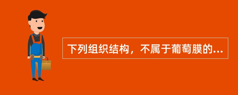 下列组织结构，不属于葡萄膜的是A、虹膜B、睫状体C、视网膜D、睫状突E、脉络膜