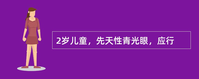 2岁儿童，先天性青光眼，应行