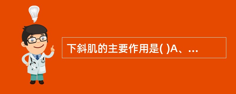 下斜肌的主要作用是( )A、上转B、下转C、外转D、内旋E、外旋