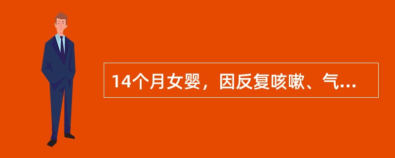 14个月女婴，因反复咳嗽、气喘2周余，用多种抗生素及肾上腺素皮质激素治疗，近2天
