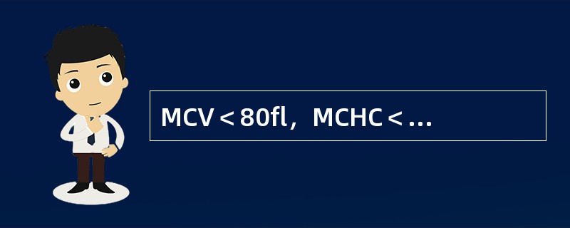 MCV＜80fl，MCHC＜32%，红细胞中央苍白区扩大，骨髓中红细胞胞质发育落