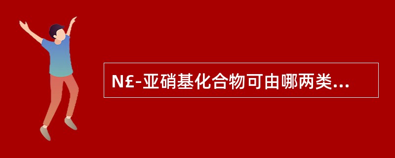 N£­亚硝基化合物可由哪两类化合物合成