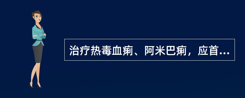 治疗热毒血痢、阿米巴痢，应首选A、穿心莲B、白鲜皮C、秦皮D、贯众E、白头翁 -