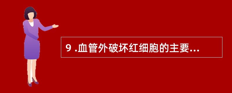 9 .血管外破坏红细胞的主要场所是A .肝B .脾C .胸腺和骨髓D .肺E .