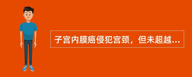 子宫内膜癌侵犯宫颈，但未超越子宫时属于